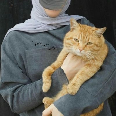 FafeAl6's profile picture. استثنائية ،  لا اوطـــن ، التســـاوي، ابداً .💙