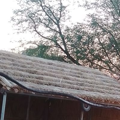 GANESHNEHRA4's profile picture. Farmer