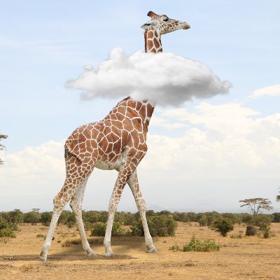 C_Scude's profile picture. Étudiant en droit, toujours la tête dans les nuages. 
📍M2 DPAPP