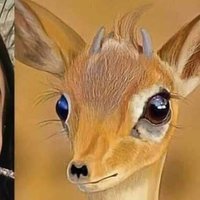 ﮼ريم ﮼صلاح (@reemsal99605483) Twitter profile photo