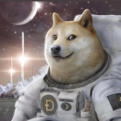 #dogecoin to the moon