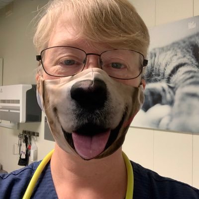 Ellkjell's profile picture. Dyrlege med Ehler Danlos. Skeptiker og realist, humanist og pessimist. #dyrlegeliv