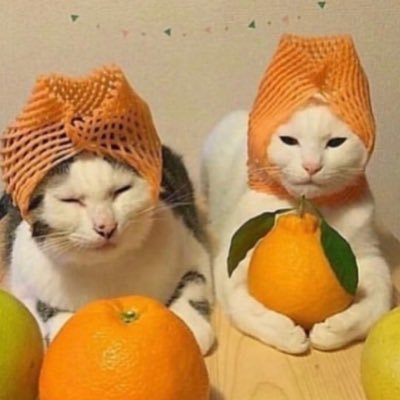 my sweet cringeさんのプロフィール画像