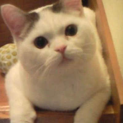 bibai28's profile picture. 2030年3月に定年になりますが、その時からデイトレーダーになるための準備を始めます。