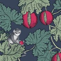 ミヤタコウスケ (@myt_2020) 's Twitter Profile