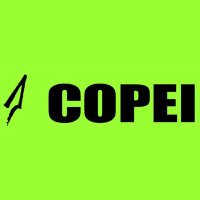 Partido COPEI(@Copei_Partido) 's Twitter Profile Photo