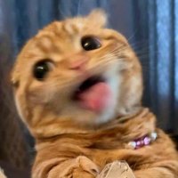 Eren (@amabiryetmemis) Twitter profile photo