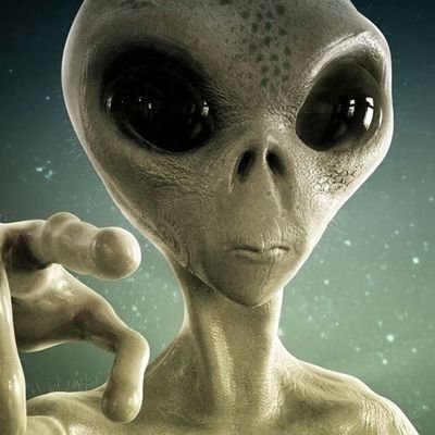 CFX92's profile picture. 12345