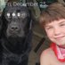 Tom Lowing (@256d75c11ae64f8) Twitter profile photo Tom Lowing (@256d75c11ae64f8) Twitter profile photo