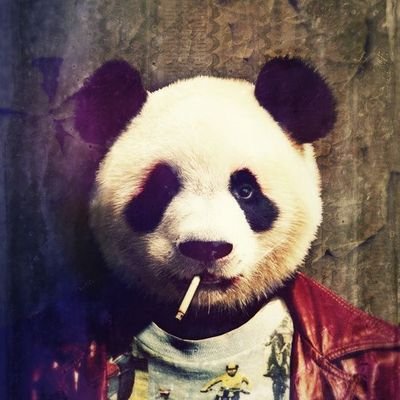 cyber security student | gamer | obsessive TV watcher | alcohol enthusiast | former dj | current bar employee
#pandagang