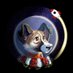 Laika.. (@hail_laika) Twitter profile photo Laika.. (@hail_laika) Twitter profile photo