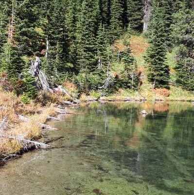 I appreciate & share the beauty & complexity of nature, apply science + critical thinking to learn. If we all do that more, we'll make better decisions.