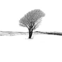 Stand Alone (@stand_alone_uk) 's Twitter Profile