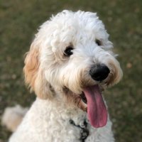 Kelley Daly (@daly_kelley) 's Twitter Profile Photo Kelley Daly (@daly_kelley) 's Twitter Profile Photo
