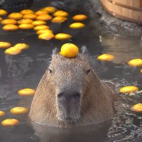 Bartelby 🇫🇷 (@br1ndavoine) 's Twitter Profile Photo