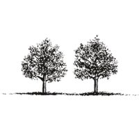 Two Trees Management (@twotreesny) 's Twitter Profile