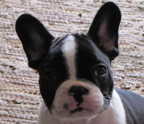 The_Hypervisor's profile picture. Talking about gadgets, virtualization, among other things