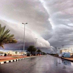 u51zdRshyXsVlTf's profile picture. تطبيق اسال حائل