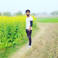 HARI VERMA (@harisha78014215) 's Twitter Profile