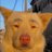 cream3405's profile image