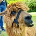 Sebastian (@seb_drueschler) Twitter profile photo Sebastian (@seb_drueschler) Twitter profile photo