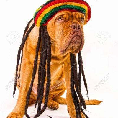 dreaddogs1 Profile Picture