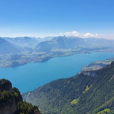 ED01380341's profile picture. 