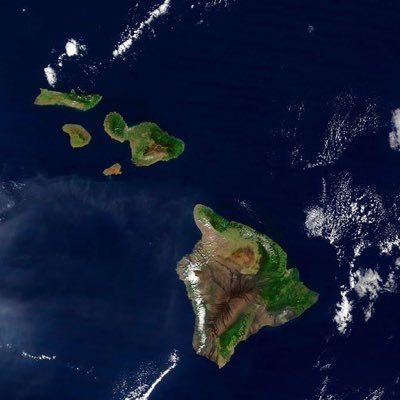 Alohalways1's profile picture. k den 🤙🏽