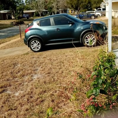 JonSizemore11's profile picture. just looking for something true and forever