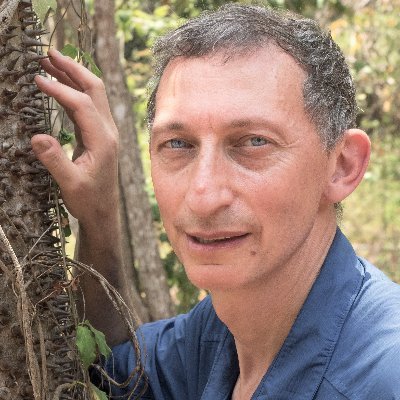 Author: AROUND THE WORLD IN 80 TREES & AROUND THE WORLD IN 80 PLANTS. Interests: Nature, Environment, Technology, Strategy, Writing: https://t.co/hEYwBfeWjB