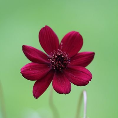 pr279915's profile picture. 