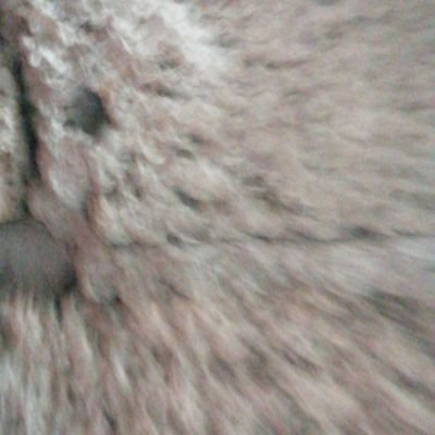 VAMPV13's profile picture. 