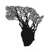 AdNA-Ubuntu (@adnaubuntu) Twitter profile photo AdNA-Ubuntu (@adnaubuntu) Twitter profile photo