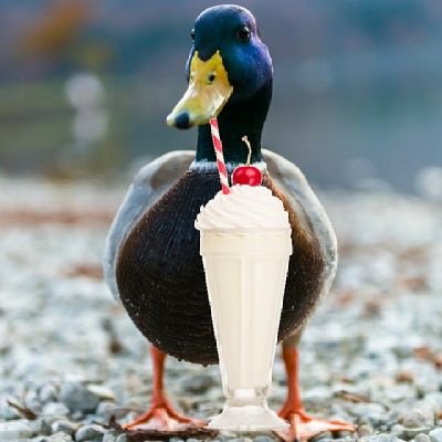 MilkshakeDuck3 Profile Picture