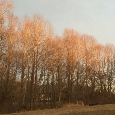 preneeaustin's profile picture. Mom