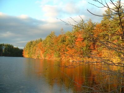 Scottish and New England genealogy. Knitting. Local history librarian.