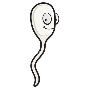 AccidentalSperm Profile Picture