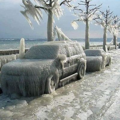 kashmir_6's profile picture. simpl