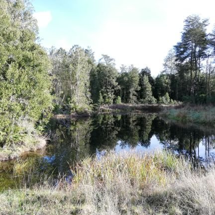 kikeamg's profile picture. Veterinario de profesión, CAMINO por opción.

#TrenesParaChile