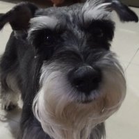 jomaresister (@jomare61861194) 's Twitter Profile