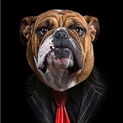 bulbul_pp's profile picture. 株を少々😀