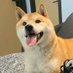 fan chongchong 顶流虫 🐶 (@chongchongtwt) Twitter profile photo fan chongchong 顶流虫 🐶 (@chongchongtwt) Twitter profile photo