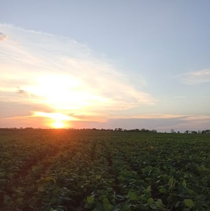 guirohol's profile picture. 