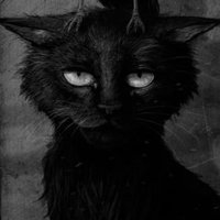 MamaJ~is not a Cat (@mj7906) 's Twitter Profile