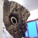 ofelia ortega - @ofeof - Twitter