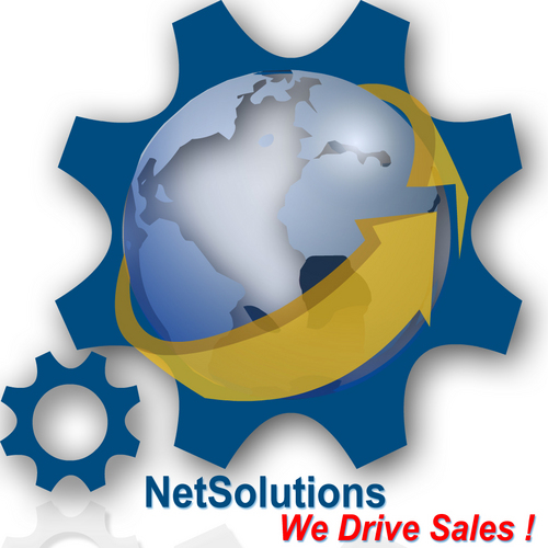 NetSolutions2's profile picture. NetSolutions has been providing Internet Consulting, Website Design, Ecommerce, Search Engine Optimization, Social Media Marketing and Management since 1993.