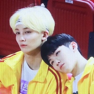 hanhoonzone's profile picture. for svt's #정한 + #우지