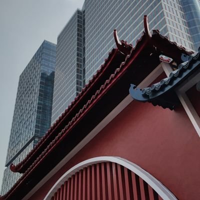 Zhibeau's profile picture. Move on and on