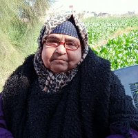 سيد محي (@mhzgcseww2spun9) 's Twitter Profile