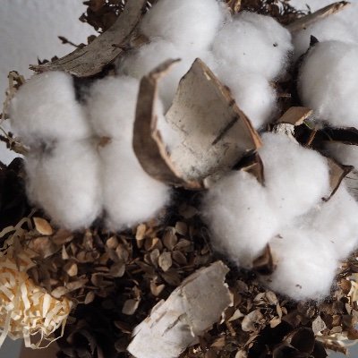 pashazayec's profile picture. florist
https://t.co/k7GKh3anv7
https://t.co/VgNZhmj39Z